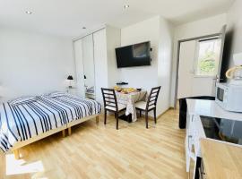 Residence Louis Place du Marche, vakantiewoning in Bains-les-Bains