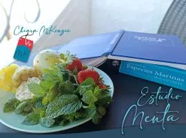 Estudio Menta