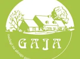 Gaja-Białowieża