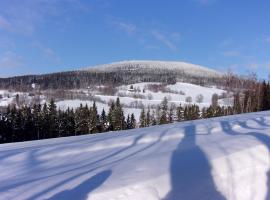 Apartmán Pod Žalým, Hotel in Benecko