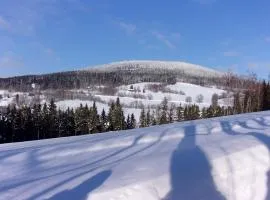 Apartmán Pod Žalým