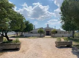 Bosco Didattico Mezzana Grande