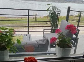 std- Na lepom plavom Dunavu