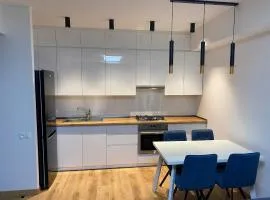 Luxury flat in 100 meters from republic square.