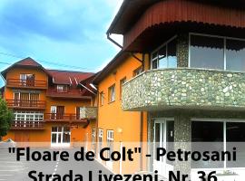 Floare de Colt Petrosani, hotel with parking in Petroşani