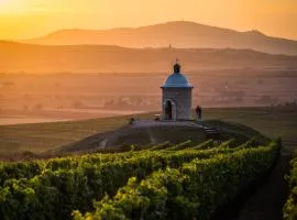 Vinoza - ubytování a vinný sklep Velké Bílovice Rulandová