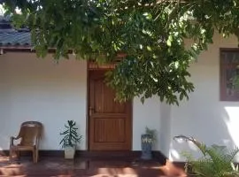 Dihein surf Hostel