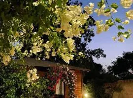 B&B Il Girasole