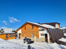 Apartments Zoni, vacation home in Vlasic