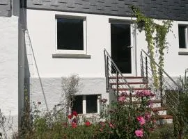 Historisches Ferienhaus "Schwalbennest" mit Eseln