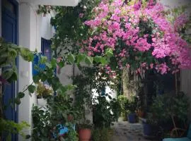 KASTRO HOUSE
