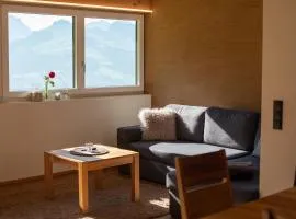 Alpenpanorama Konzett