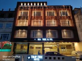 Tulip Tree Hotel, cheap hotel in Katra