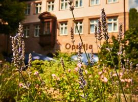 Hotel Hauser Boutique, hotell Nürnbergis lennujaama Nürnbergi lennujaam - NUE lähedal