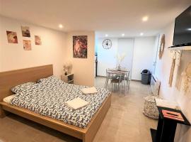 Studio Le Plum'Art, 10mn Zoo de Beauval avec jardin, hotell sihtkohas Noyers-sur-Cher