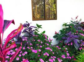 Bijagua paradise R&iacute;o Celeste