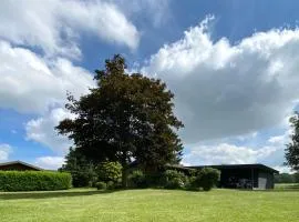 Schwedenhaus mit Holzofen & Außenkamin auf 1400m2