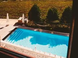 Solar Quinta da Portela - Douro