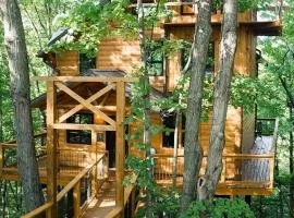 Treehouse #2 by Amish Country Lodging