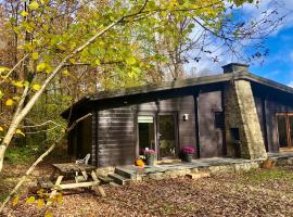 Forest Lodge, Hütte in Petit Mesnil