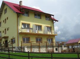 Pensiunea Pui de Urs Sirnea, homestay in Fundata