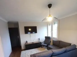 Hyper centre, appart F2 refait à neuf (TV+++)
