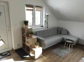 Apartmán Frymburk 700