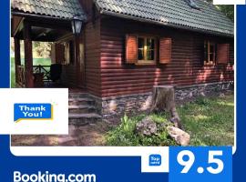 Forest Cottage Weekend House, vacation rental in Vlăhiţa