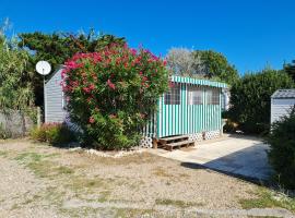 Mobil home sur camping 4 étoiles CAP SOLEIL St Denis d'Oléron, tapak glamping di La Bétaudière