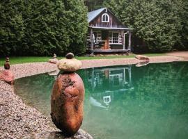 A rustic cabin in the woods, nakvynės su pusryčiais namai mieste Orindžvilis