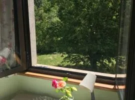 Era del Cinghiale Bianco, intera cascina nel Parco di Piana Crixia