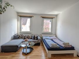 Cozy Room in a Sharing Apartment WG in the black forest, Privatzimmer in Villingen-Schwenningen