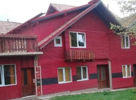 Pensiunea Irina 3, homestay in Zărneşti