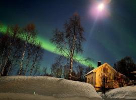 Cabin magic on Senja, atmosphere like a fairytale, villa in Botnhamn