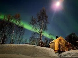 Cabin magic on Senja, atmosphere like a fairytale