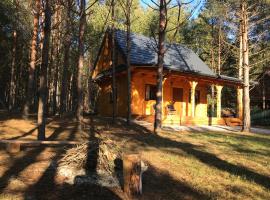 FoRest Inn, holiday rental in Trzepieciny
