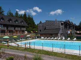 Grand studio 6 pers. Super Besse, Résidence ***, vacation rental in Besse-et-Saint-Anastaise