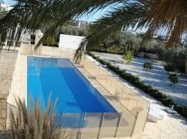 Luxury 6 bedroom villa with privet pool in Paphos