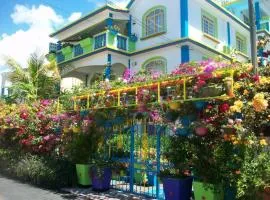 Lapiroguevilla (Tourist resident) apartment