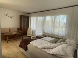 Apartmaji Mojca