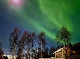 Cabin magic on Senja, atmosphere like a fairytale, cabin in Botnhamn