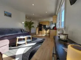 Superbe appartement au centre de St Jorioz