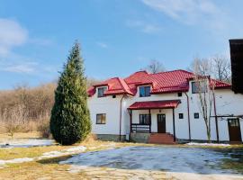 Casa Ina Rasnov, cabaña o casa de campo en Râșnov