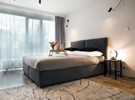 EASY RENT APARTAMENTS - Silver 9, Basen & SPA, Centrum Free Parking 24h Check-in