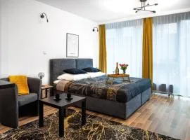 EASY RENT Apartments - Silver 8, Basen & SPA, Centrum Free Parking 24h Check-in