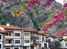 Sehri̇-zade Yalisi, hotel en Amasya