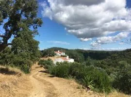 Monte São Francisco