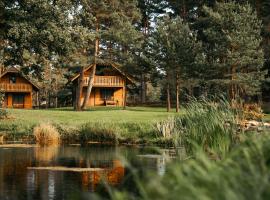 Vējciems, vacation home in Liepene