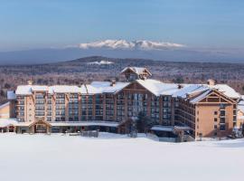 Wanda Jin Resort Changbaishan, hotel in Baishan