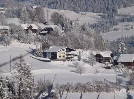 Gorgeous Apartment near ski area